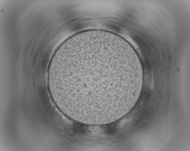 X0000088190807200706121714