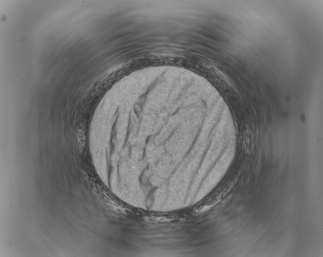 X0000088190821200706121713