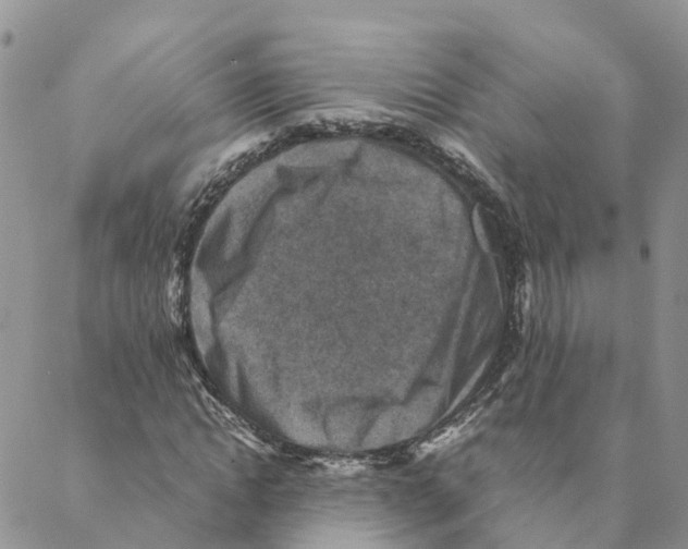X0000088190822200706121713
