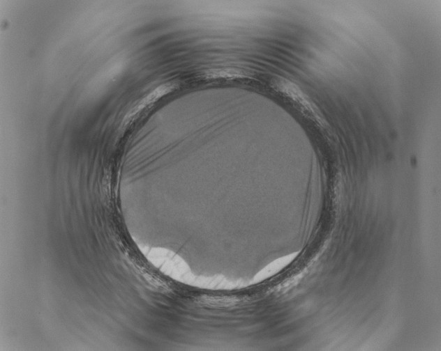 X0000088190825200706121713