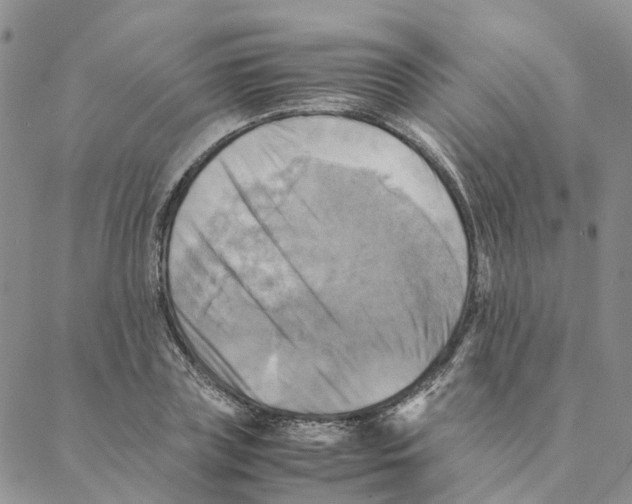 X0000088190835200706121714