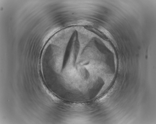 X0000088190850200706121714