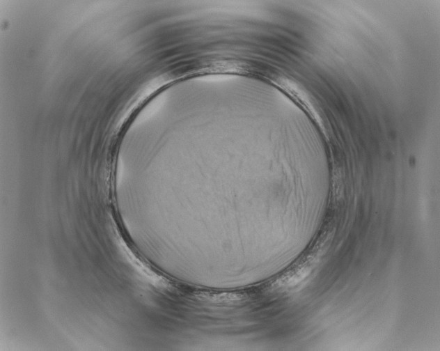 X0000088190851200706121714