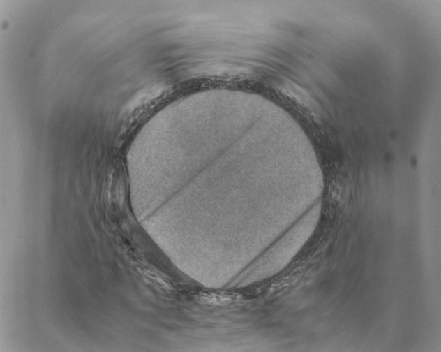 X0000088190869200706121713
