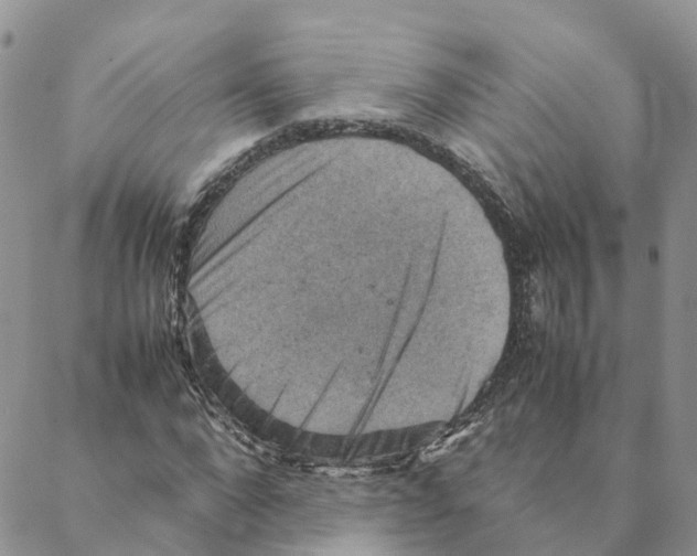 X0000088190872200706121713