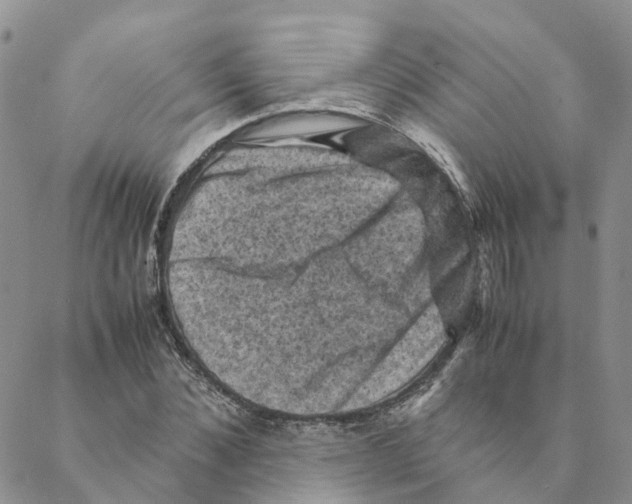 X0000088190876200706121713