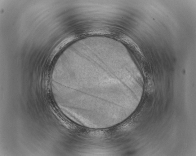 X0000088190882200706121713