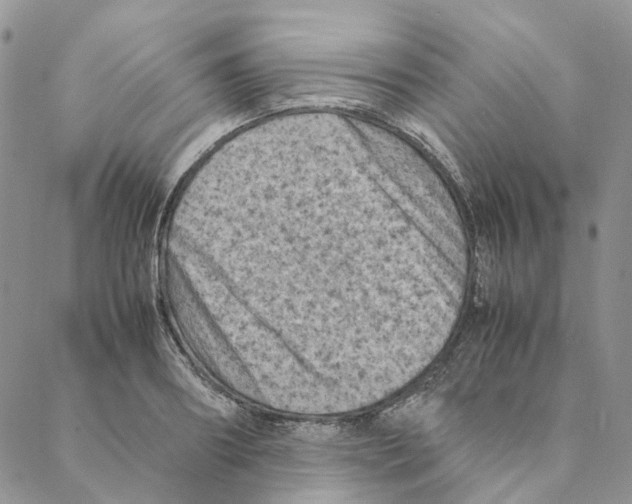 X0000088190890200706121713