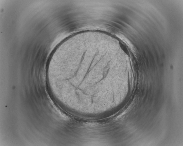 X0000088190894200706121713