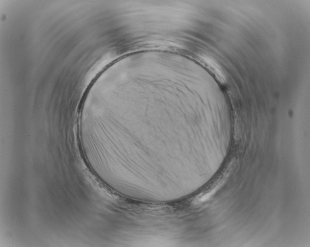 X0000088190899200706121713