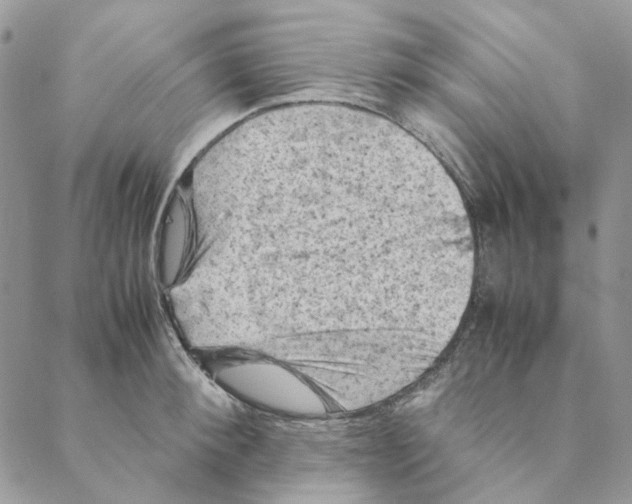 X0000088190900200706121713