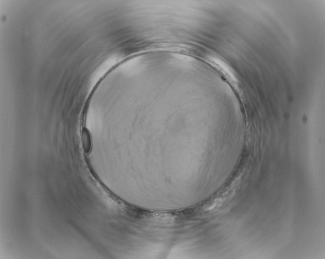 X0000088190907200706121713