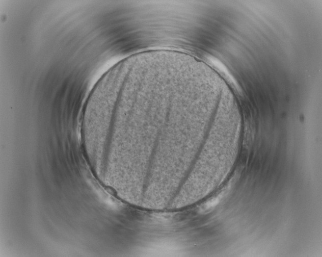 X0000088190908200706121713