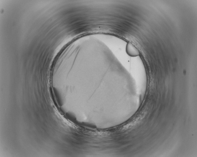 X0000088190941200706121712