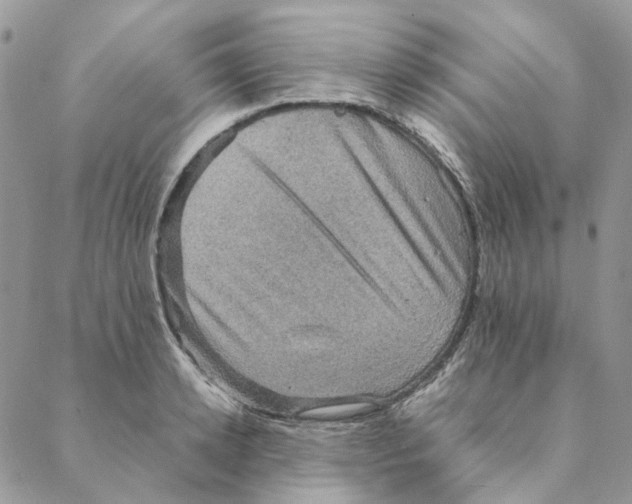 X0000088190942200706121712