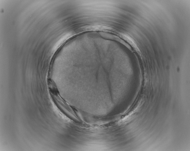 X0000088190946200706121712