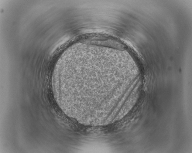 X0000088190967200706121712