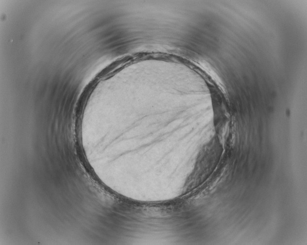 X0000088190976200706121711