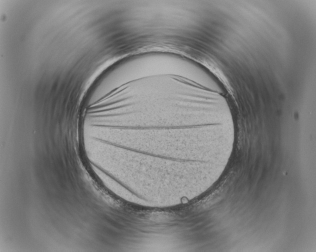 X0000088190984200706121711