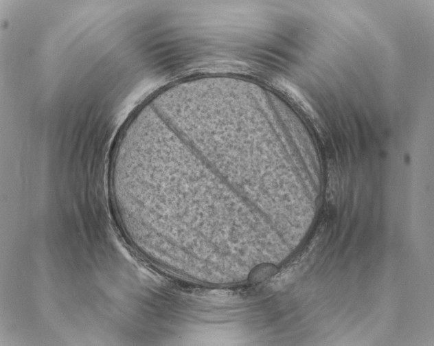 X0000088190986200706121711
