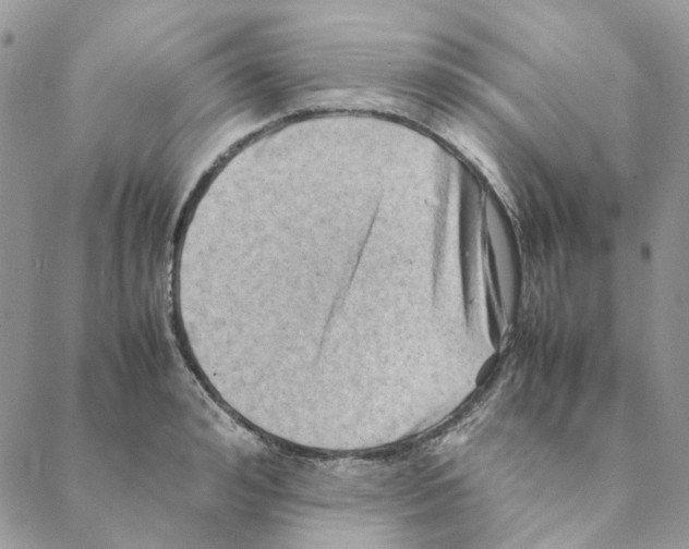 X0000088190992200706121711