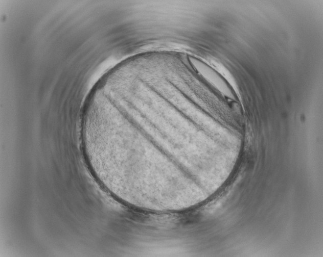 X0000088190997200706121711