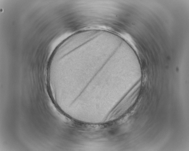 X0000088191003200706121711