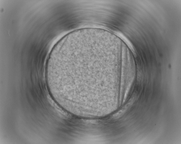 X0000088191004200706121711