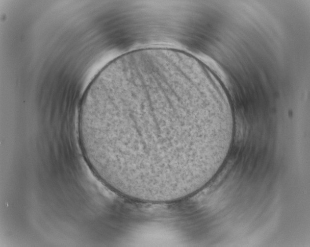 X0000088191006200706121711