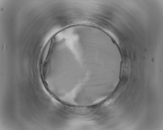 X0000088191007200706121711