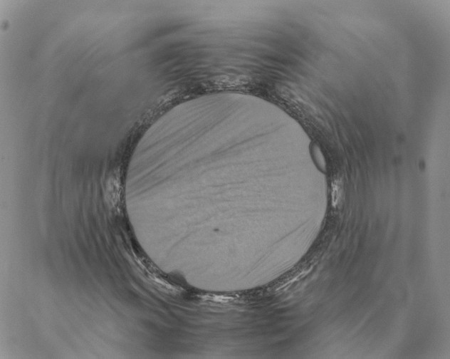 X0000088191011200706121710