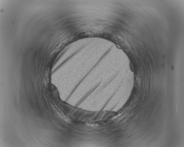 X0000088191012200706121710
