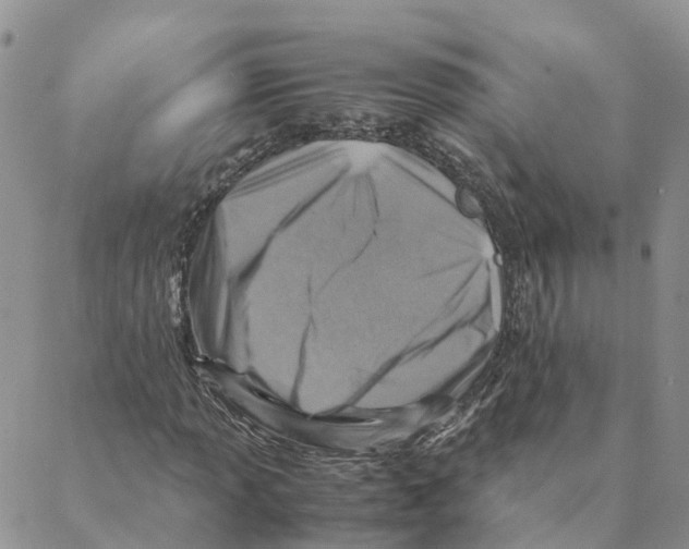 X0000088191013200706121710
