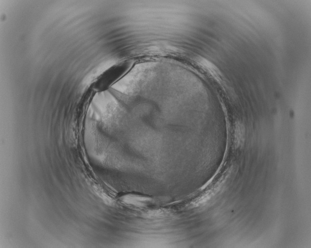 X0000088191018200706121710