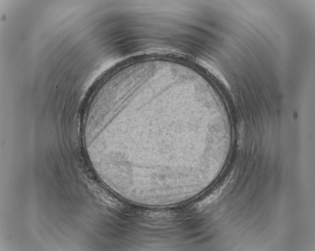 X0000088191021200706121710