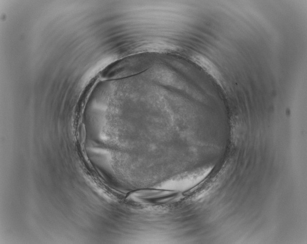 X0000088191026200706121710