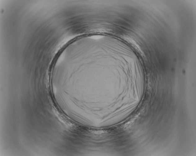 X0000088191031200706121710