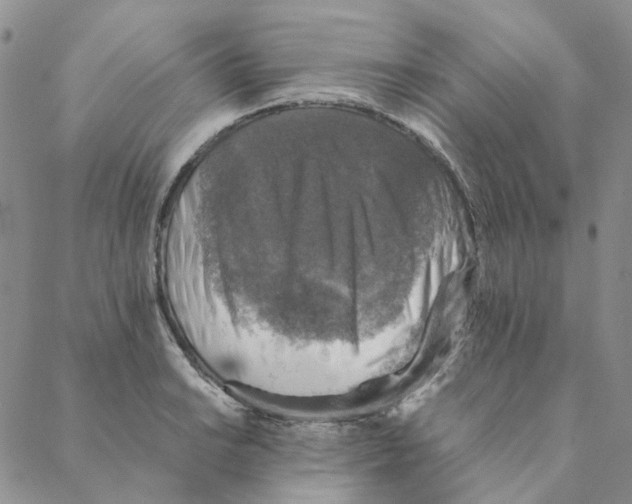 X0000088191038200706121711