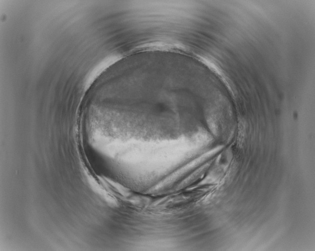 X0000088191042200706121711