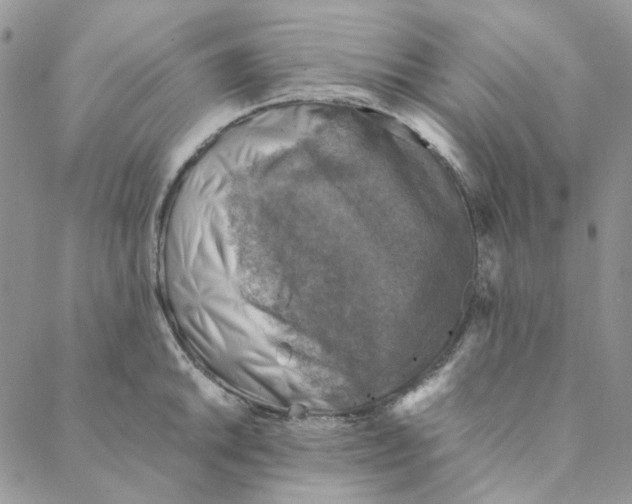 X0000088191046200706121711