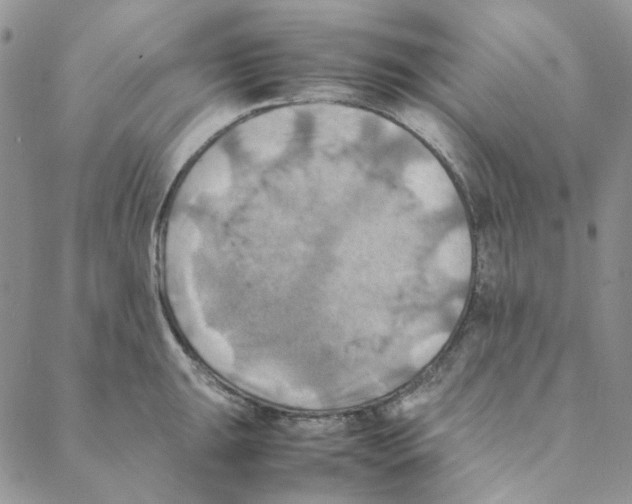X0000088191047200706121711