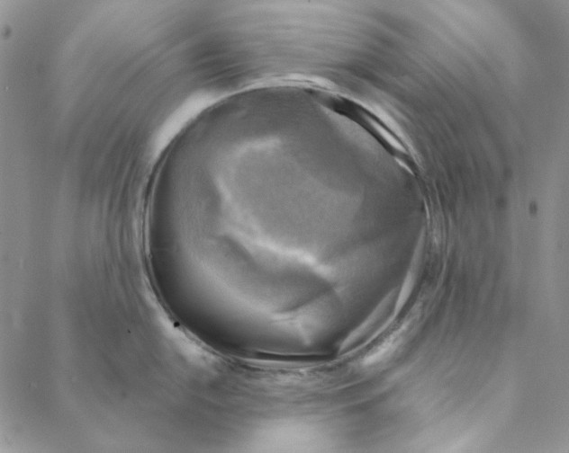 X0000088191054200706121711