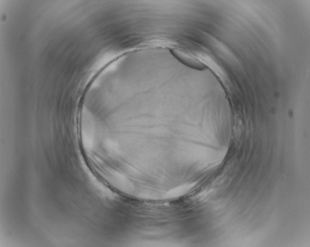 X0000088191055200706121711