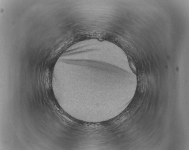 X0000088191058200706121710
