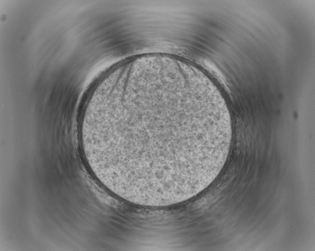 X0000088191072200706121710