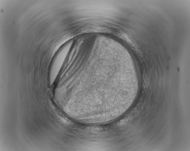 X0000088191073200706121710