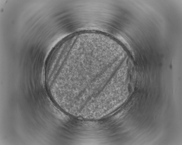 X0000088191076200706121710