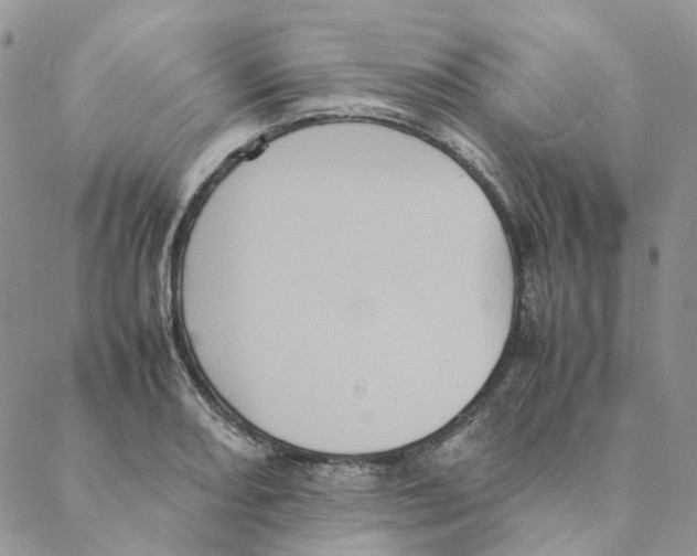 X0000088191082200706121710