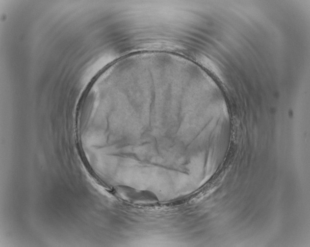X0000088191087200706121710