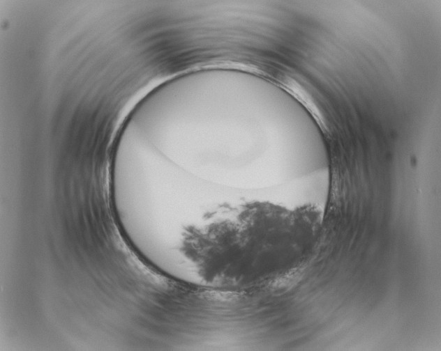 X0000088191092200706121710